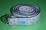 Color Belt - Basket-Blue
