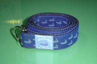 Color Belt - Island-Blue - Horng Chyi