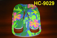 EVA Board - Hc-9029A