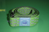 Color Belt
