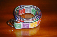 Color Belt - Bird-Colors