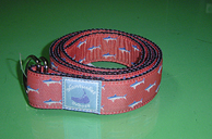 Color Belt - Shark-Red